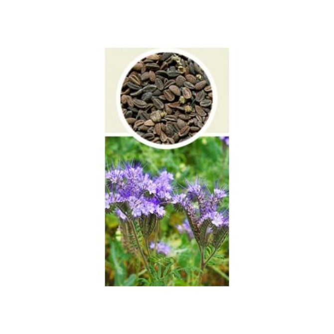 PAKA Facēlija 0.5kg PL201604335/405G