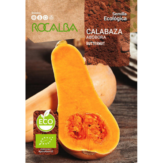 Ķirbis(BIO) Butternut 3g