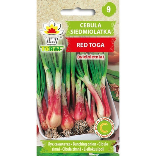 Lielloku sīpoli RED TOGA 1g DE7502999 ST (PASE)