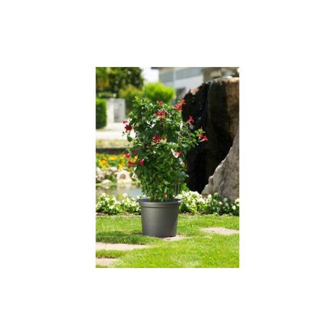 Puķu pods GEO antracīta 55cm