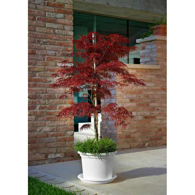 Puķu pods GEO balts 25cm