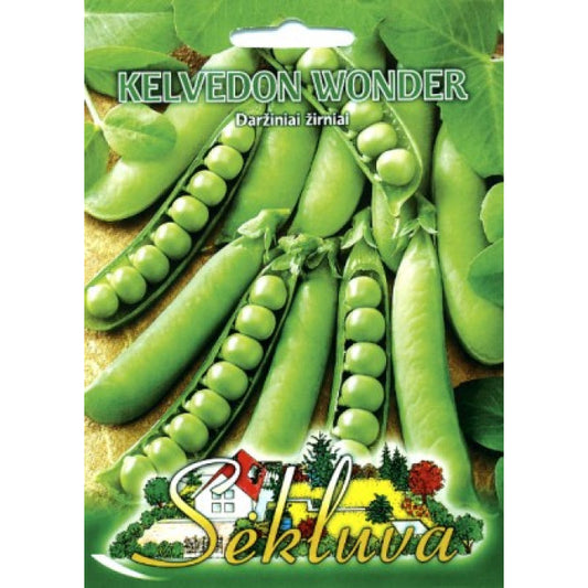 Zirņi (SEKLUVA) KELVEDON WONDER 65g