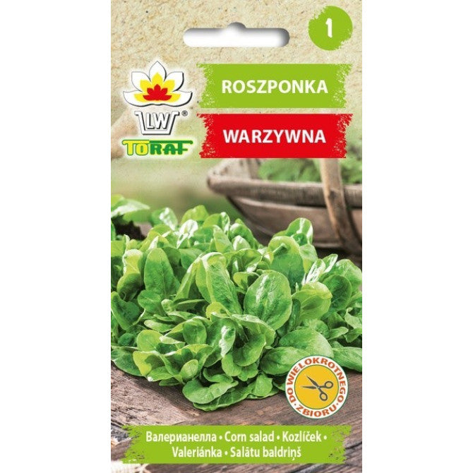 Salātu baldriņš 1g IT20013CIN00;DE931500ST