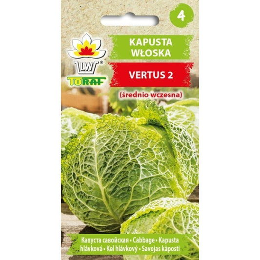 Kāposti savojas Vertus 2 2g IT50000CIN00 ST