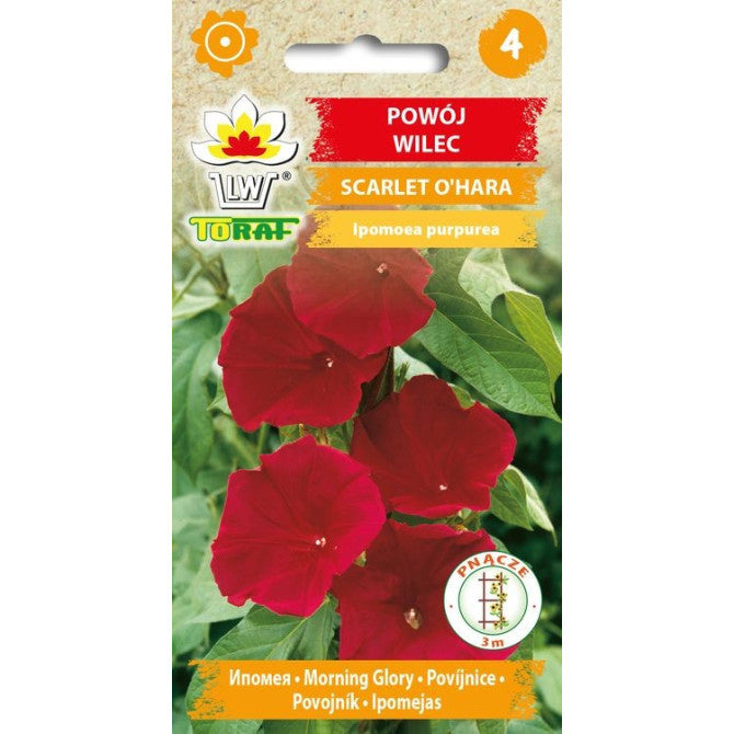 Ipomejas Scarlet O`Hara 2g NL184055.23