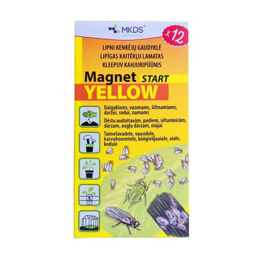 MAGNET YELLOW START 12 gab