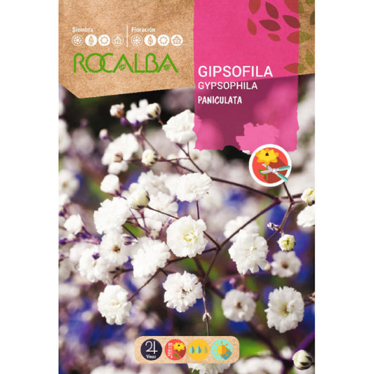 Ģipsene skarainā balta 4g