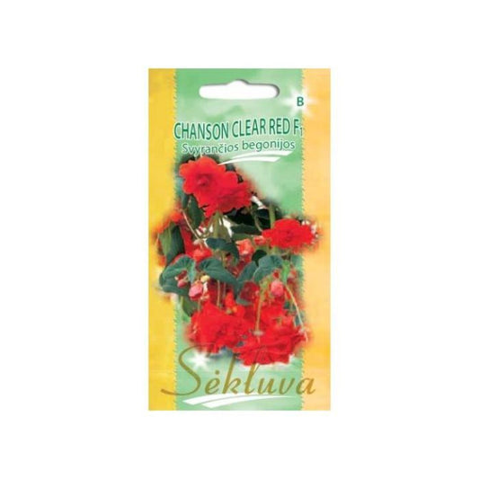 Begonijas CHANSON CLEAR RED F1, 30 sēklas S.N.10361