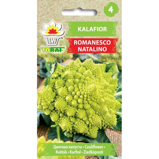 Ziedkāposti Romanesco natalino 1g