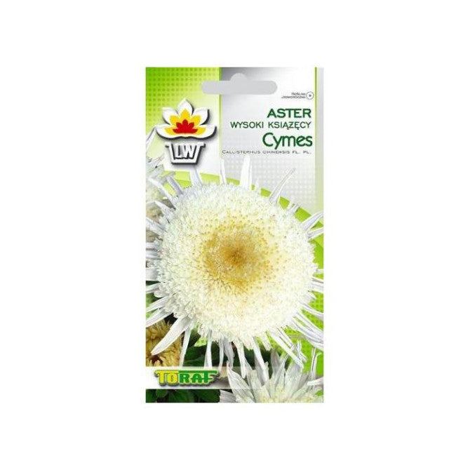 Asteres Cymes 1g NL178266.6