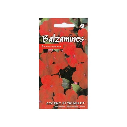 Balzamīnes Accent F1 Scarlet 10sēklas