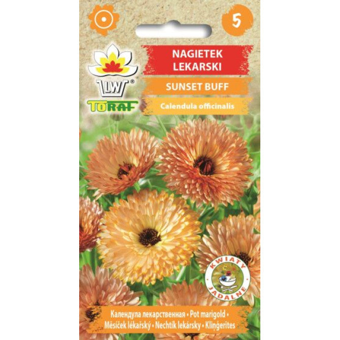 Kliņģerītes Sunset Buff 1g NL173555.5