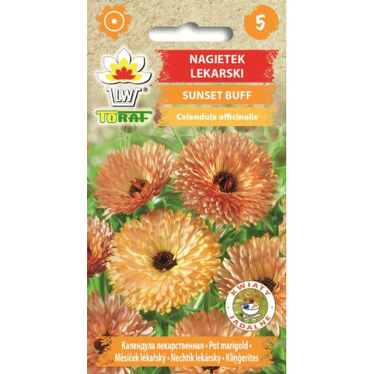 Kliņģerītes Sunset Buff 1g NL173555.5