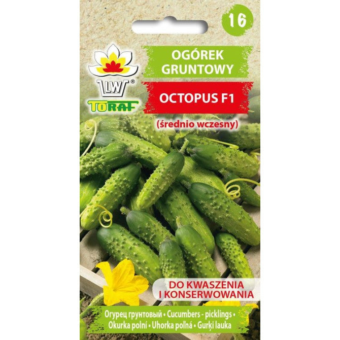 Gurķi Octopus F1, 1g NL15974738 ST