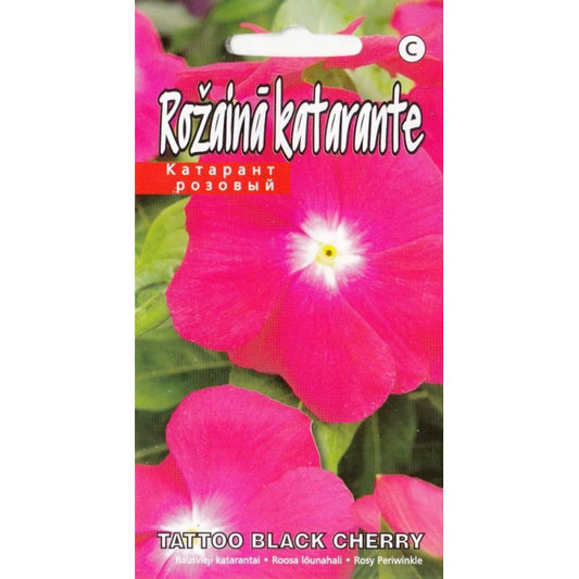 Katarante Tatto Black Cherry 10s