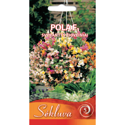 Lauvmutītes POLA F1, 25sēklas S.N.9241