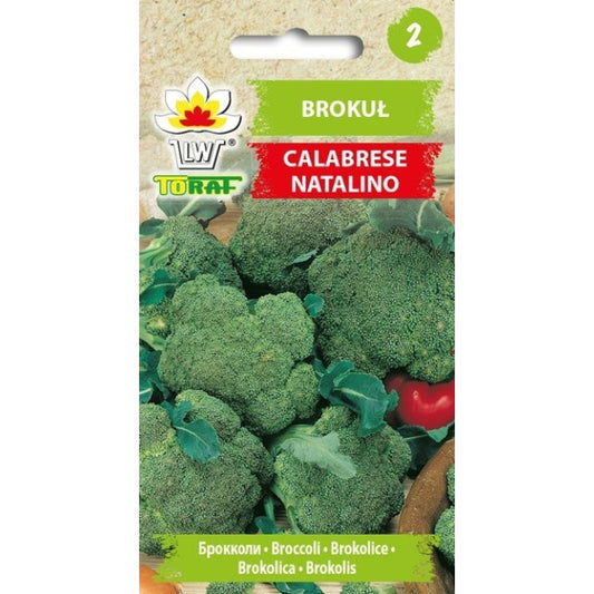 Brokoļi Calabrese 1g IT45174CIN0AM