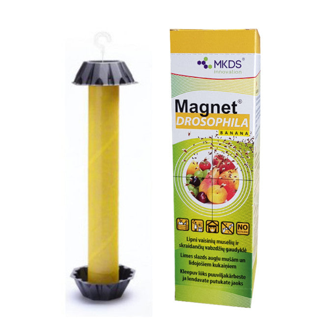 MAGNET DROSOPHILA banana 1gab