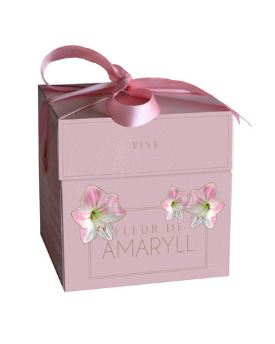 Hipeastrs Fleur D'Amaryll Pink (dāvanu kastītē) 28/30
