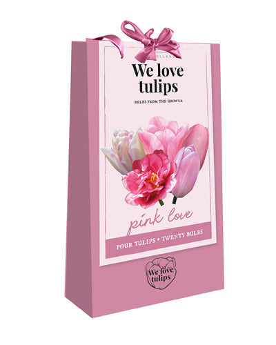 Tulpju maisījums We Love tulips - Pink Love