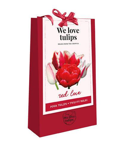 Tulpju maisījums We Love tulips - Red Love