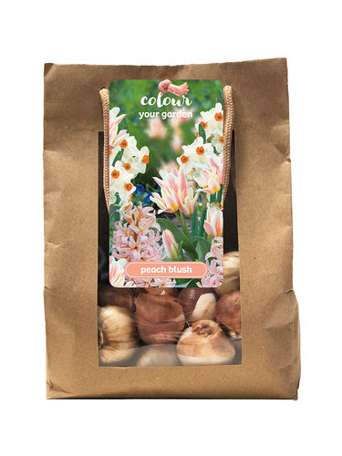 Sīpolpuķu maisījums Peach Blush