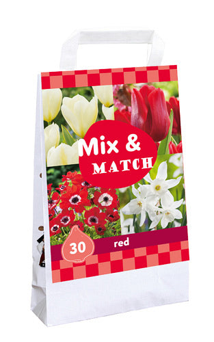 Sīpolpuķu maisījums Mix & Match Red