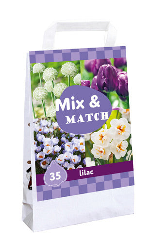 Sīpolpuķu maisījums Mix & Match Lilac