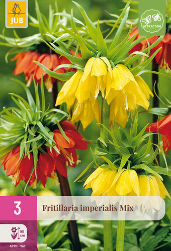 Karaliskā fritilārija Mix 18/20