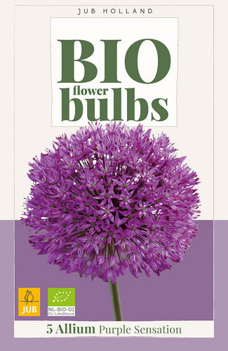 Dekoratīvais sīpols Purple Sensation (BIO) 10/12