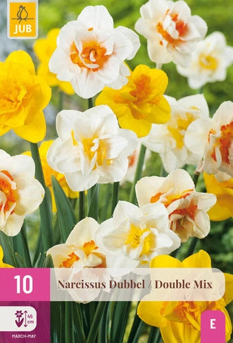 Narcise pildītiem z. Double Mix 12/14