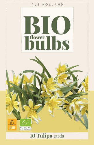 Savvaļas tulpe Tarda (BIO) 6/7