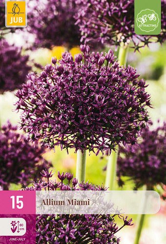Dekoratīvais sīpols Allium Miami 10/+ (15 gab. paciņā)