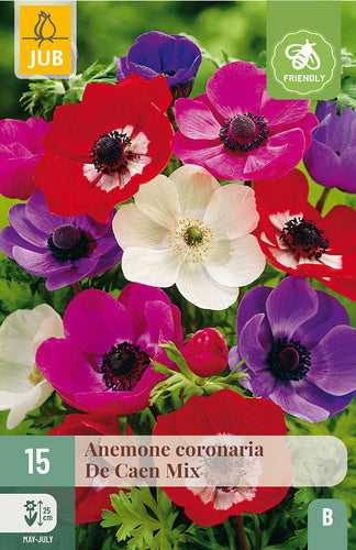 Vainagu anemone Anemone coronaria De Caen Mix 5/6 (15 gab. paciņā)