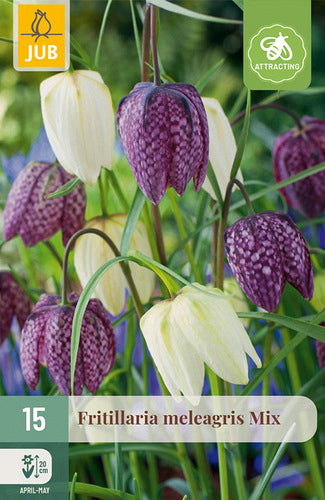 Rūtainā fritilārija Mix 6/7