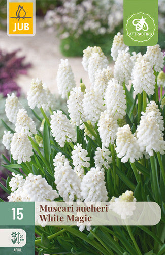 Ošē muskare White Magic 7/8
