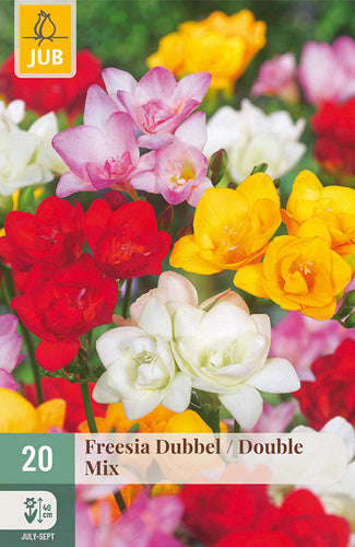 Frēzija Double Mix 5/+