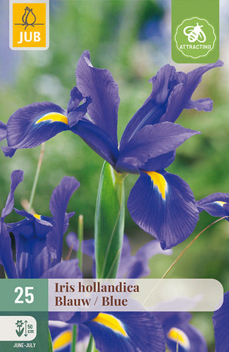 Īriss Blue 7/8