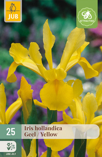 Īriss Yellow 7/8