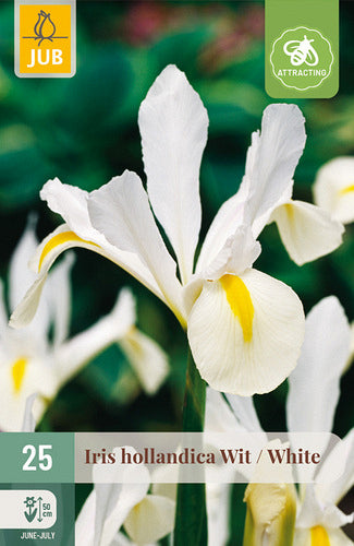 Īriss White 7/8
