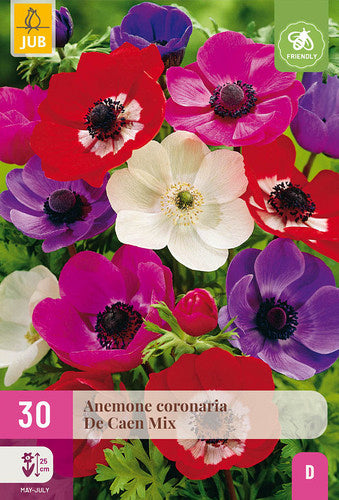 Vainagu anemone De Caen Mix 5/6