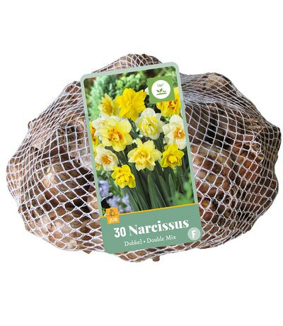 Narcise pildītiem z. Double Mix (tīkliņā) 10/12