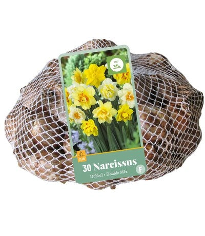Narcise pildītiem z. Double Mix (tīkliņā) 10/12