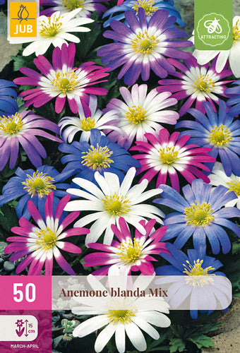 Jaukā anemone Mix 4/5