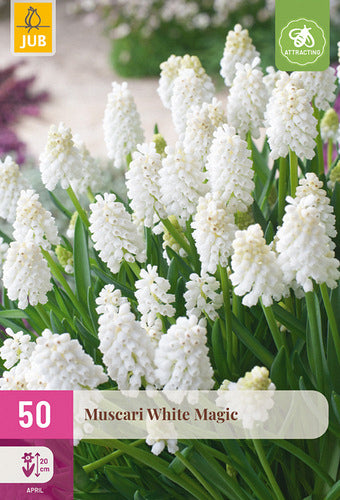 Ošē muskare White Magic 6/7