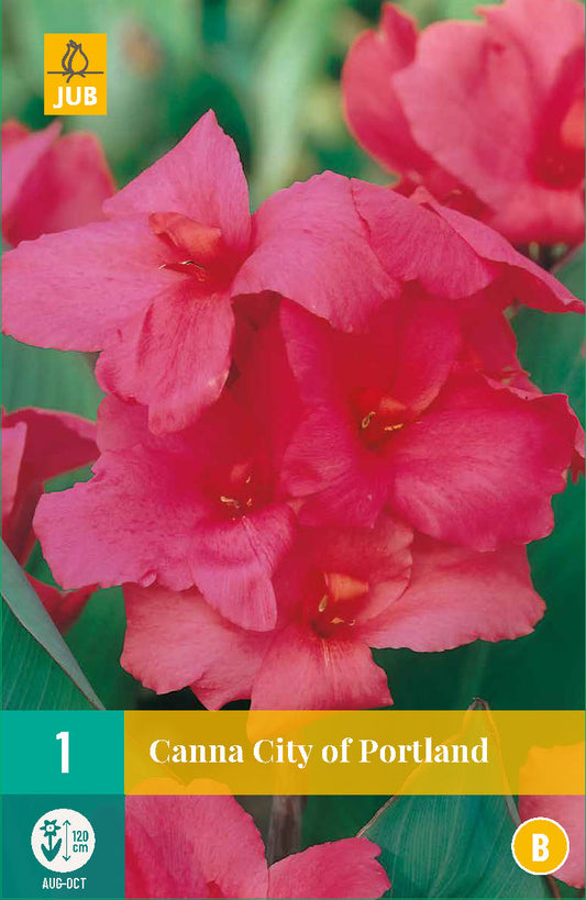 Dārza kanna City Of Portland (1 gab. paciņā)