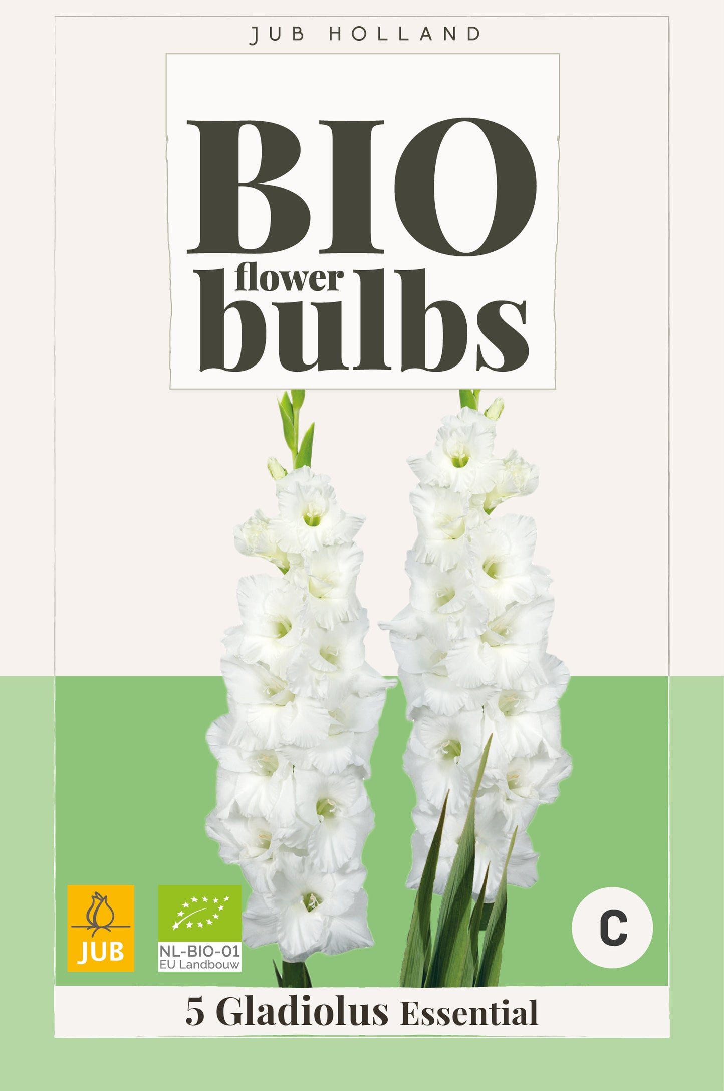 Gladiola Essential (BIO) 10/12 (5 gab. paciņā)