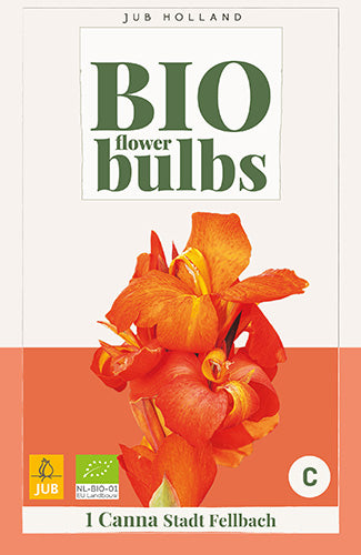 Kanna Stadt Fellbach (BIO) (1 gab. paciņā)