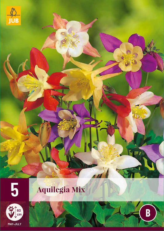 Ozolīte Mix (5 gab. paciņā)