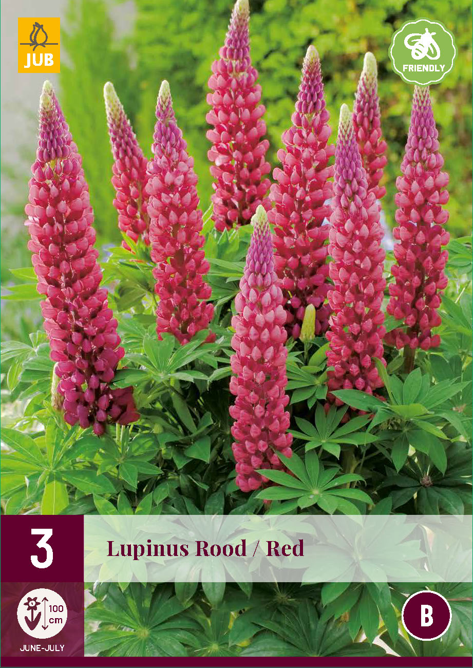 Lupīna Red (3 gab. paciņā)